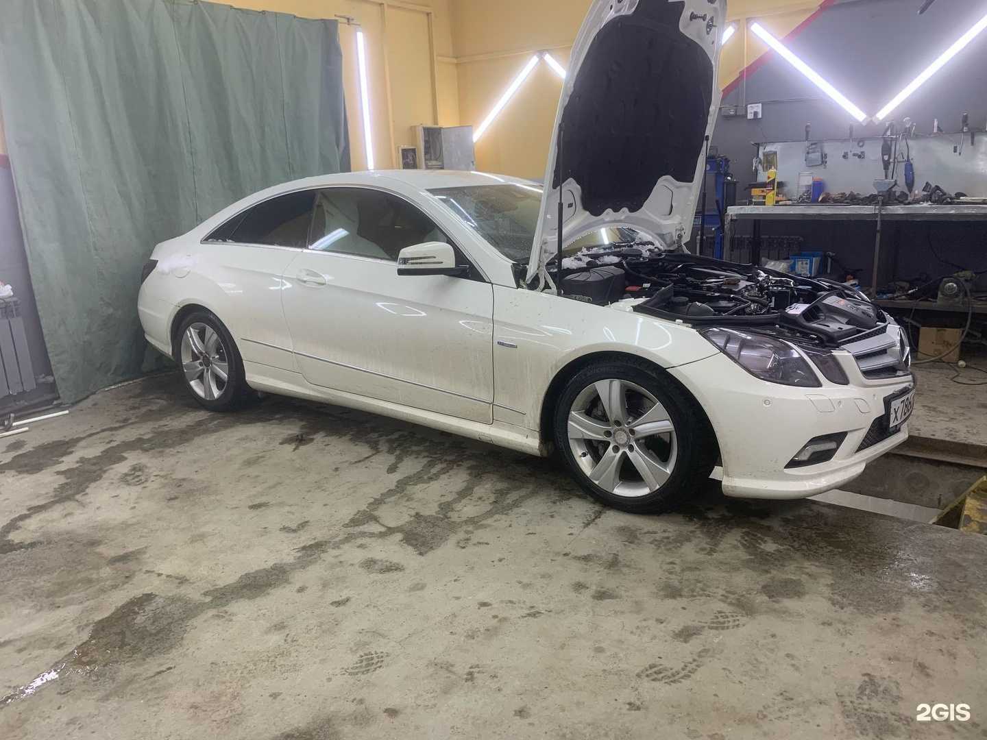 Отзывы на компанию GenStar в Новосибирске c фото