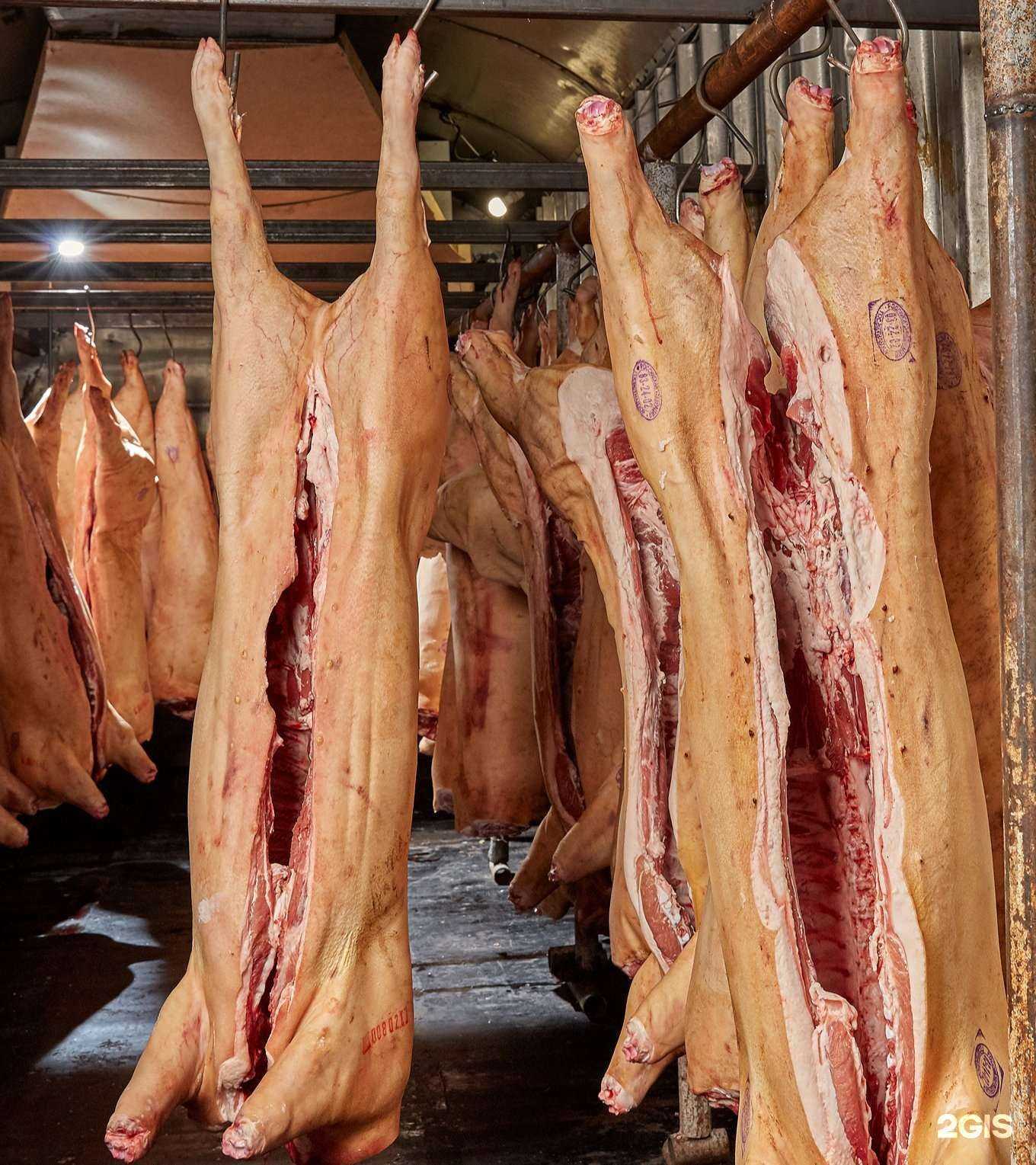 Отзывы на компанию Бекон Сибири в Иркутске c фото