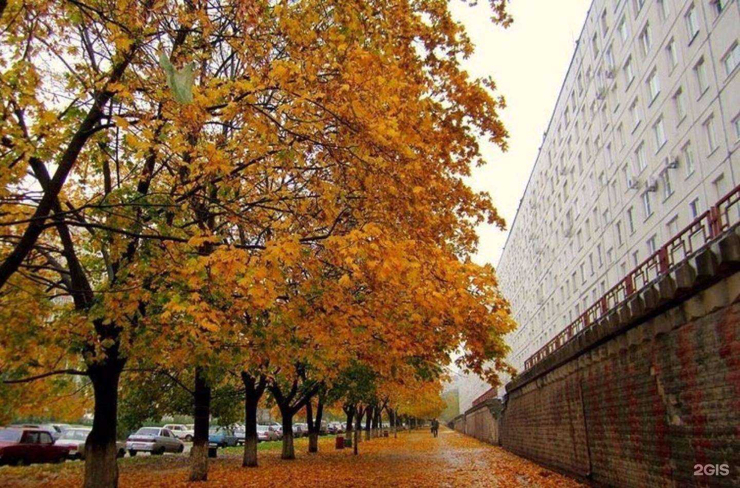 Отзывы на компанию Гевард в Тольятти c фото