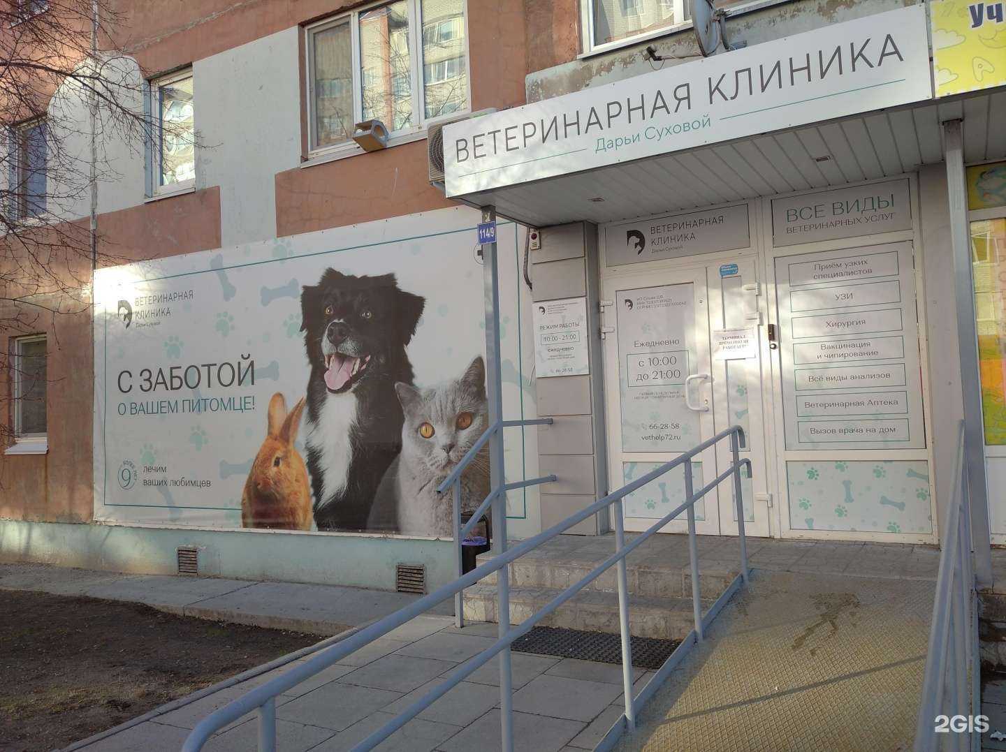 Отзывы на компанию Ветеринарная клиника Дарьи Суховой в г. Тюмень c фото