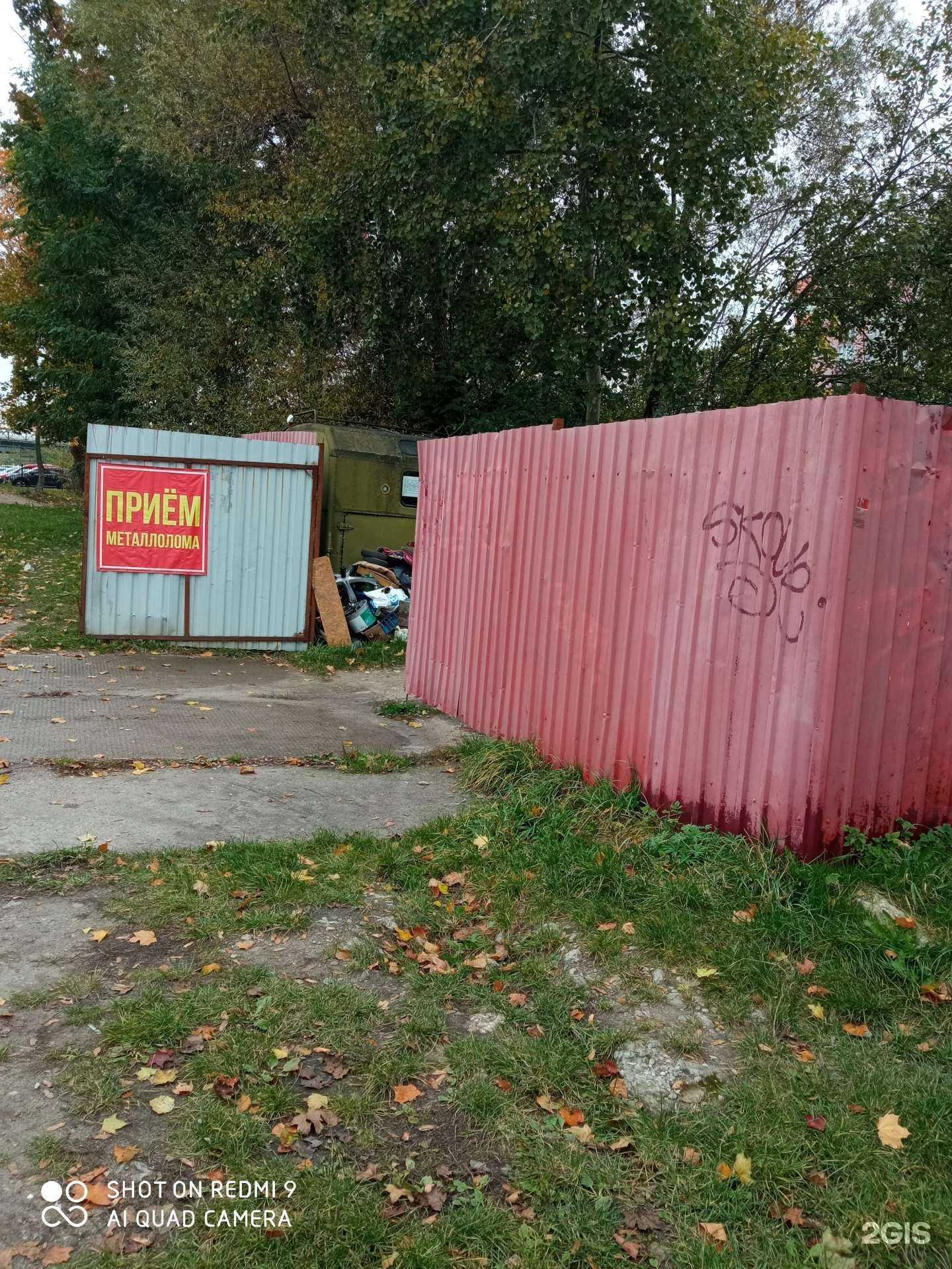 Отзывы на компанию Кремний 39 в Калининграде c фото