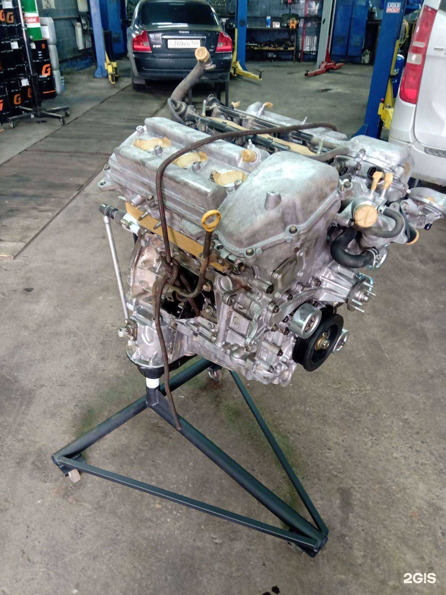 Отзывы на компанию Оазис в Красноярске c фото