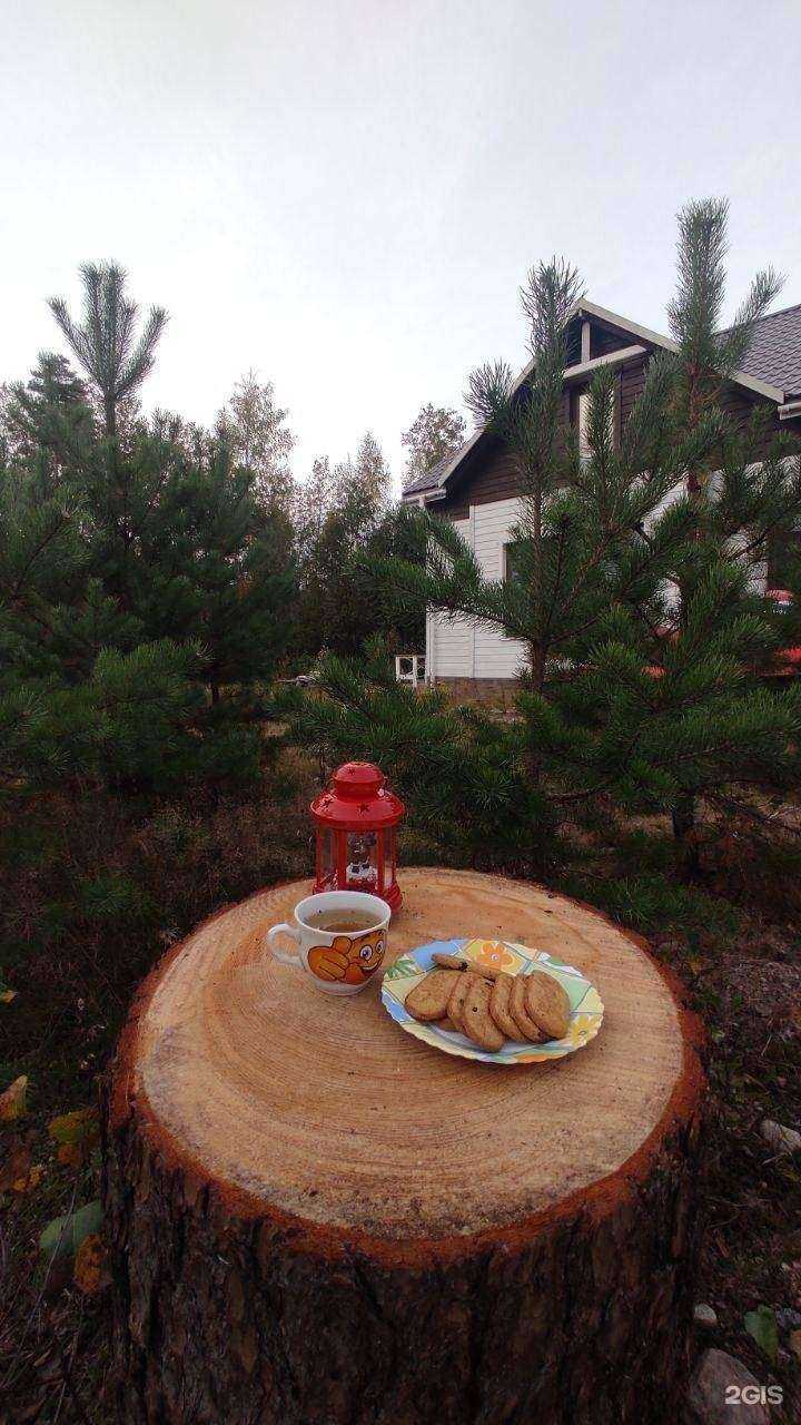 Отзывы на компанию Компания по туризму в Выборге c фото