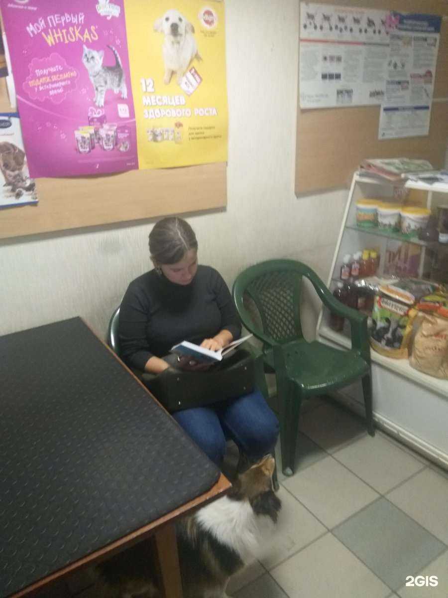 Отзывы на компанию Добрый друг в Верхней Салде c фото