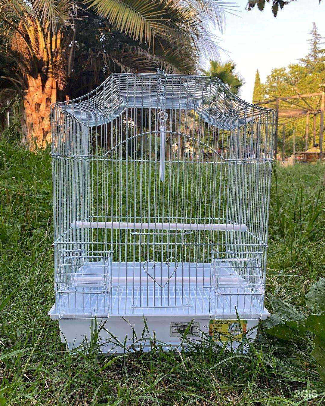 Отзывы на компанию Кот Лео в Сочи c фото