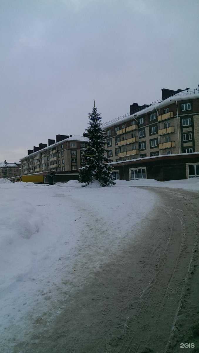 Отзывы на компанию Территория танца в Костроме c фото - фотография 2 из 2