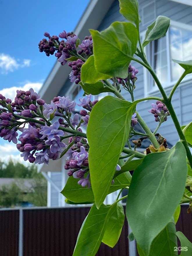 Отзывы на компанию 5 стен в Нижнем Новгороде c фото