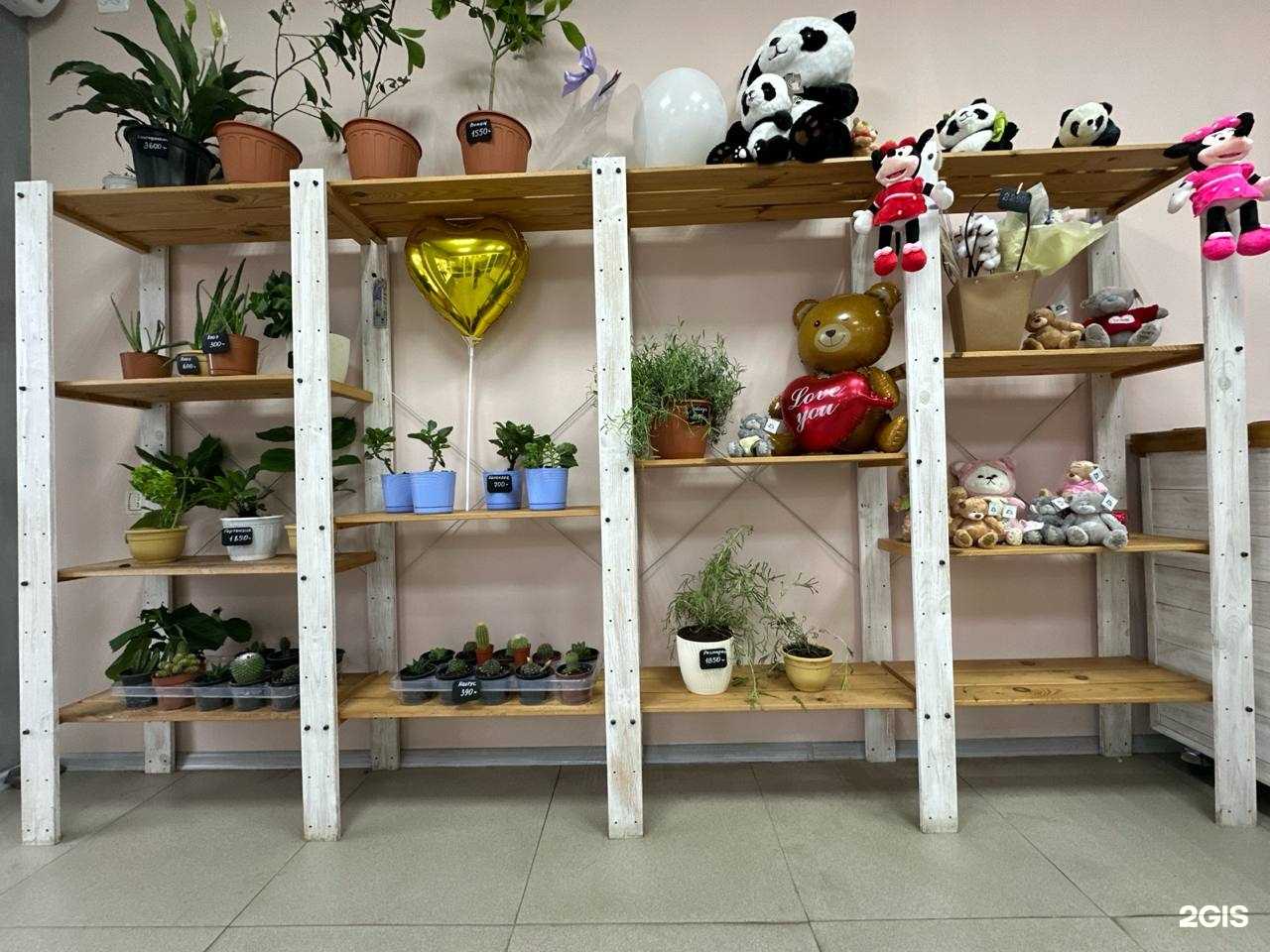 Отзывы на компанию Bloom в Южно-Сахалинске c фото