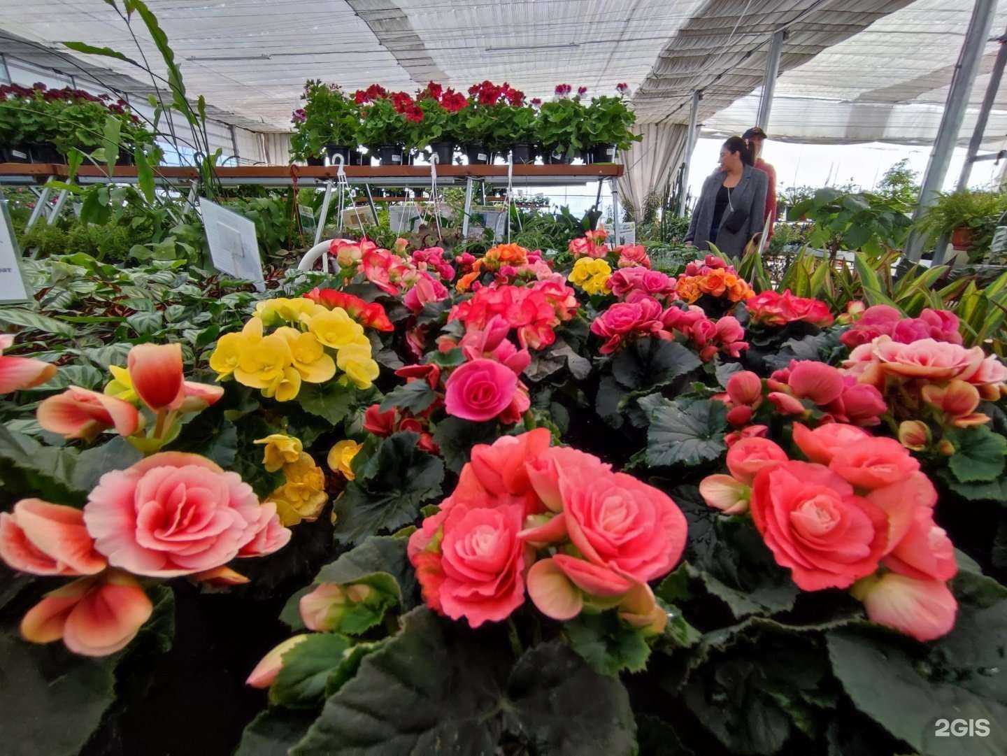 Отзывы на компанию Плодовое в Тюмени c фото