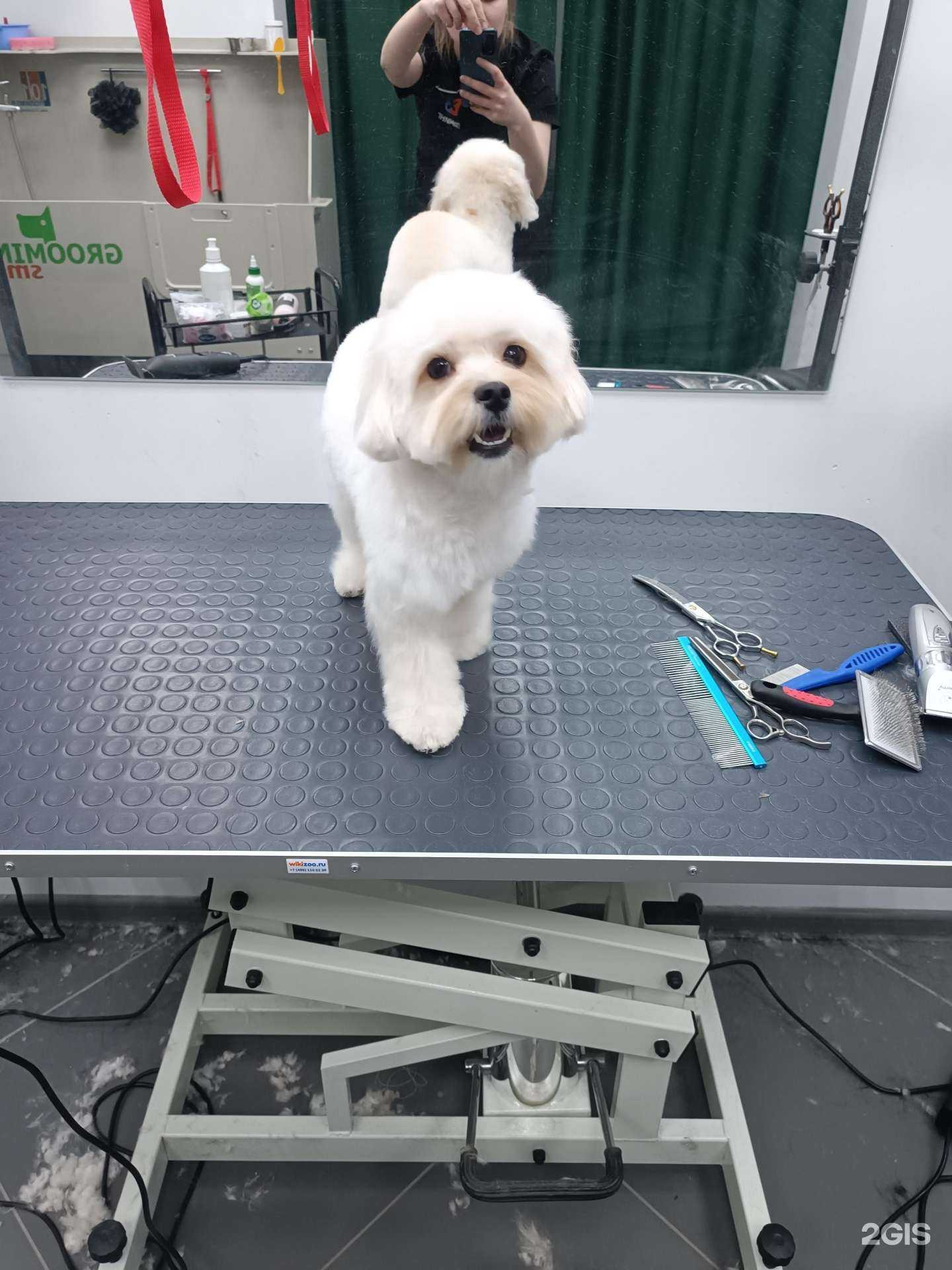 Отзывы на компанию Groovy Groom в г. Коммунарка c фото