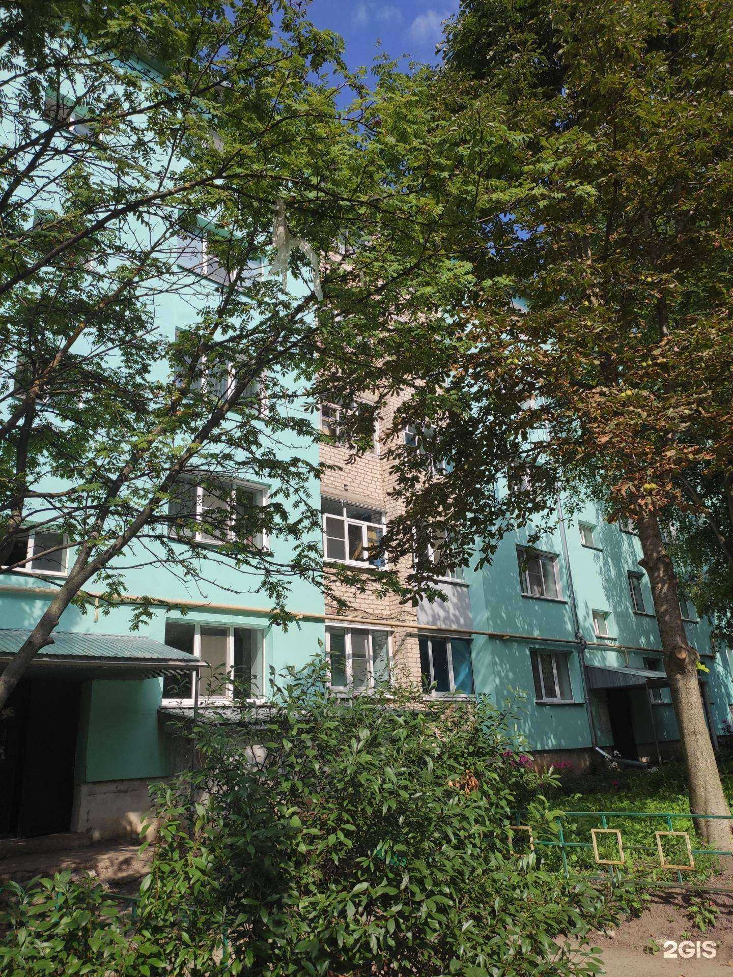 Отзывы на компанию Сад-огород в Арзамасе c фото - фотография 2 из 2