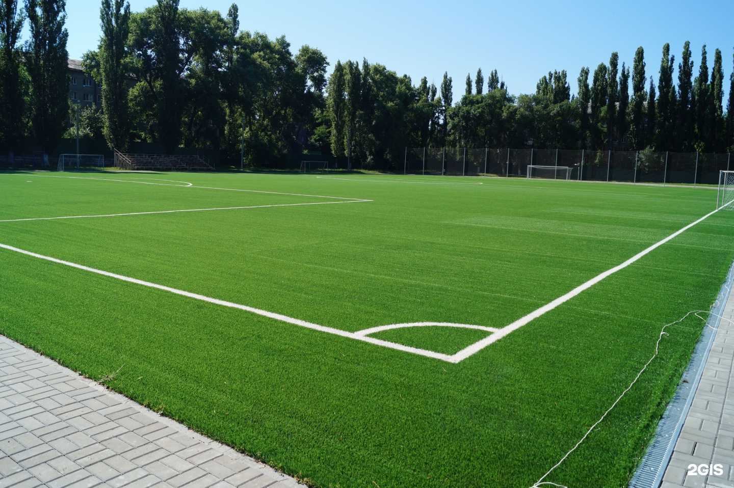 Отзывы на компанию Спортивная школа №15 в Воронеже c фото