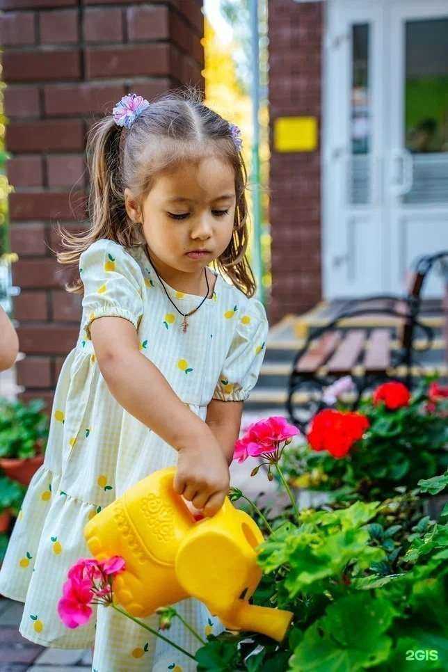 Отзывы на компанию Кроха в Белгороде c фото