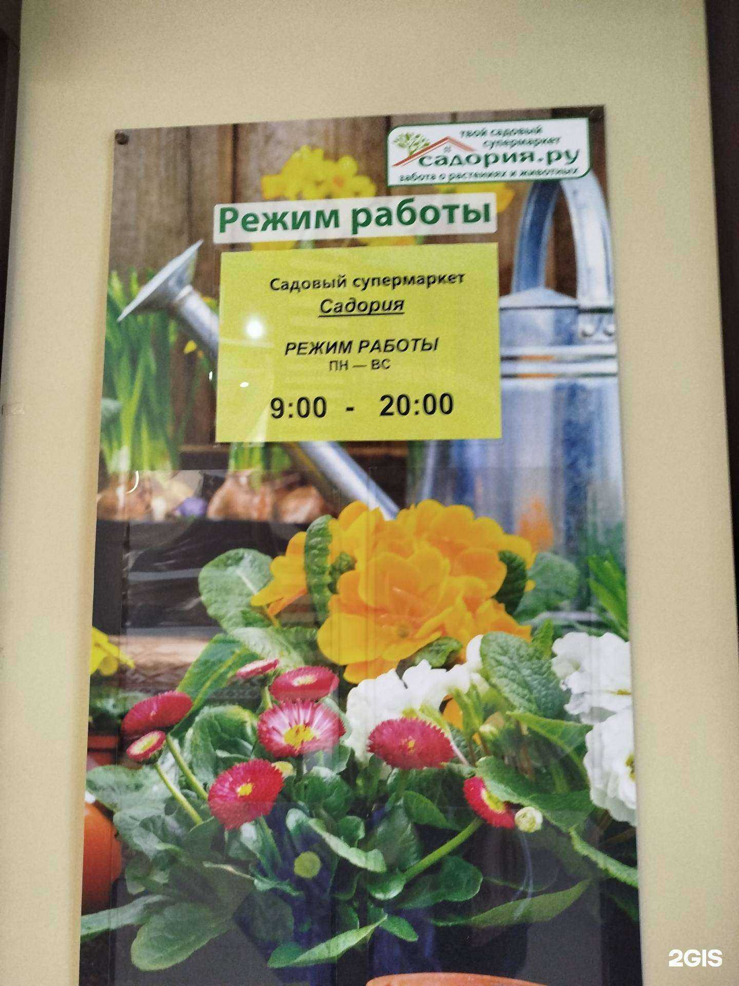 Отзывы на компанию Садория в Нижнем Новгороде c фото