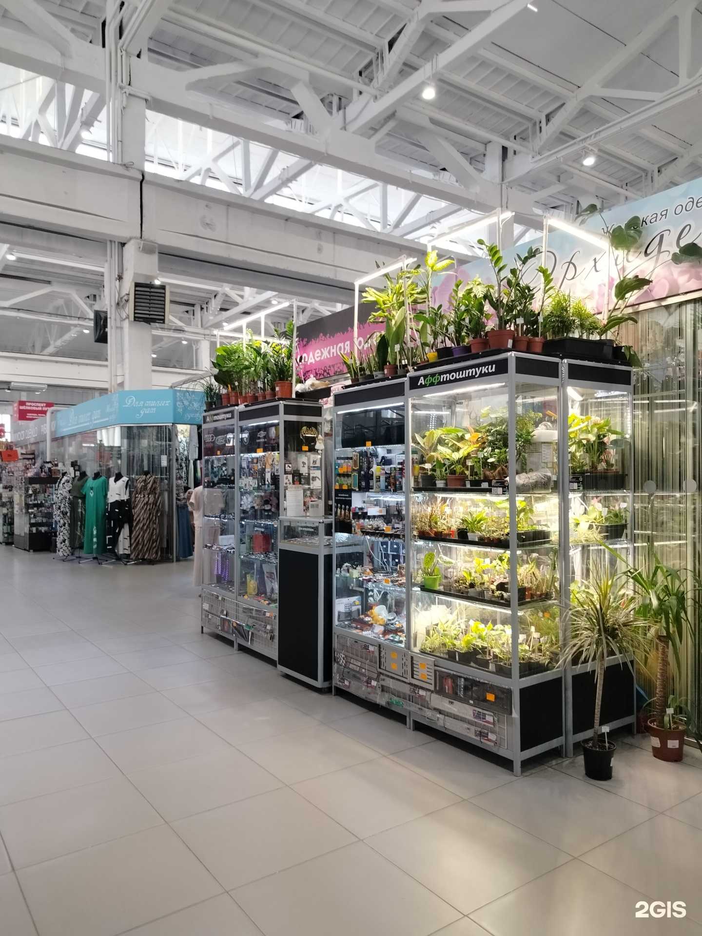 Отзывы на компанию Аффтоштуки в Пензе c фото