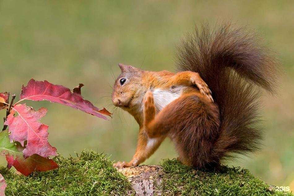 Отзывы на компанию Ногтевая студия в Оренбурге c фото - фотография 2 из 2