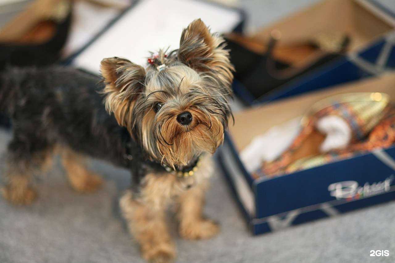 Отзывы на компанию Respect в Бийске c фото