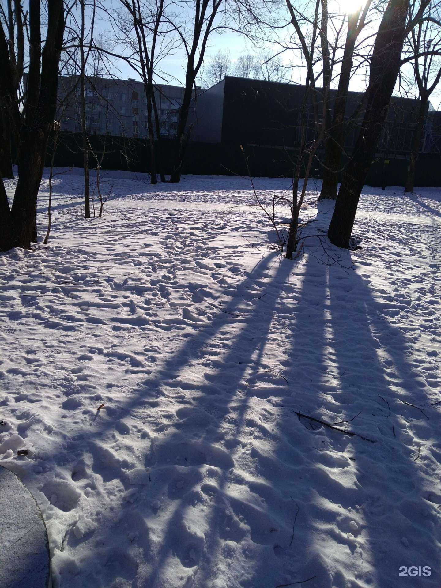 Отзывы на компанию Медуза в Хабаровске c фото - фотография 2 из 2