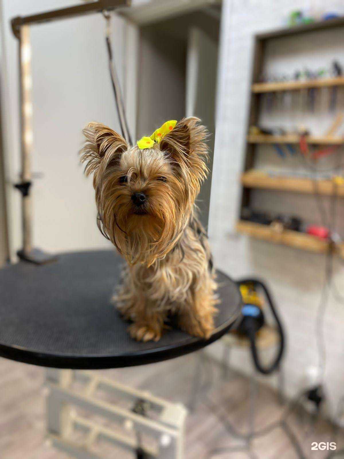 Отзывы на компанию Йорк Сити СПА в г. Уфа c фото