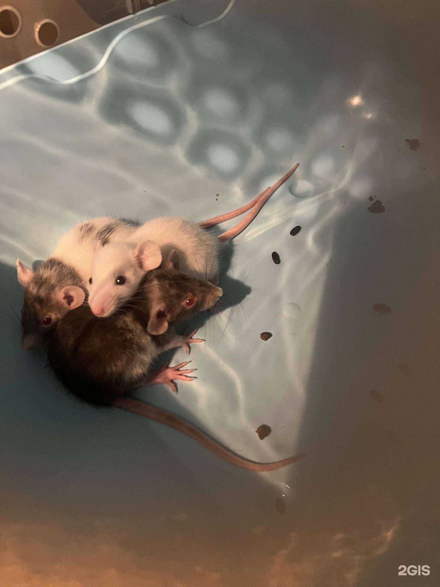 Отзывы на компанию Аквамир в Барнауле c фото