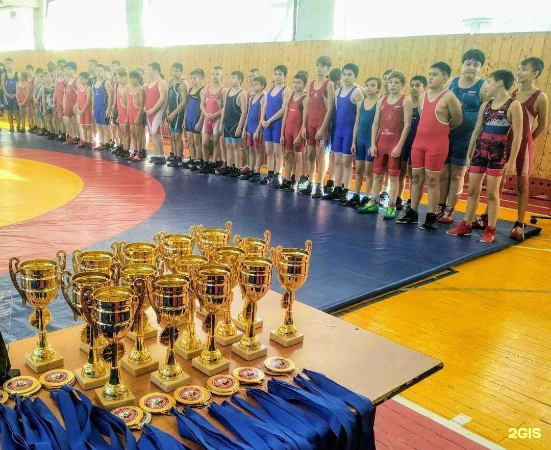 Отзывы на компанию СШОР по единоборствам Электросталь в г. Электросталь c фото