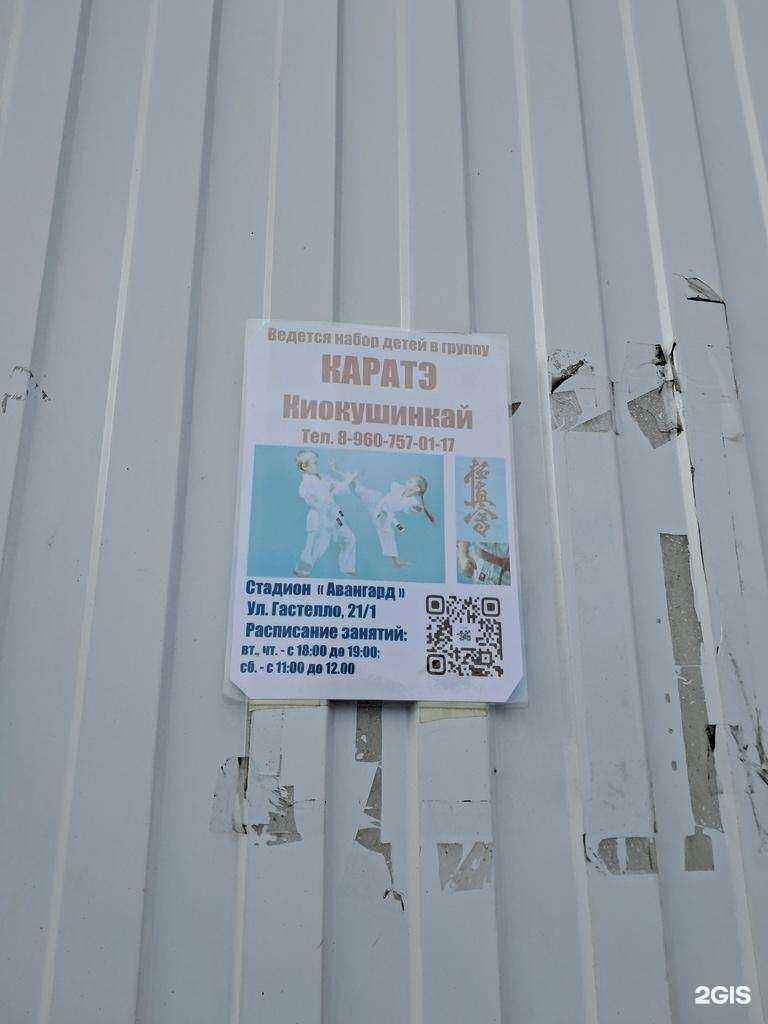 Отзывы на компанию Секция каратэ киокушинкай в Красноярске c фото