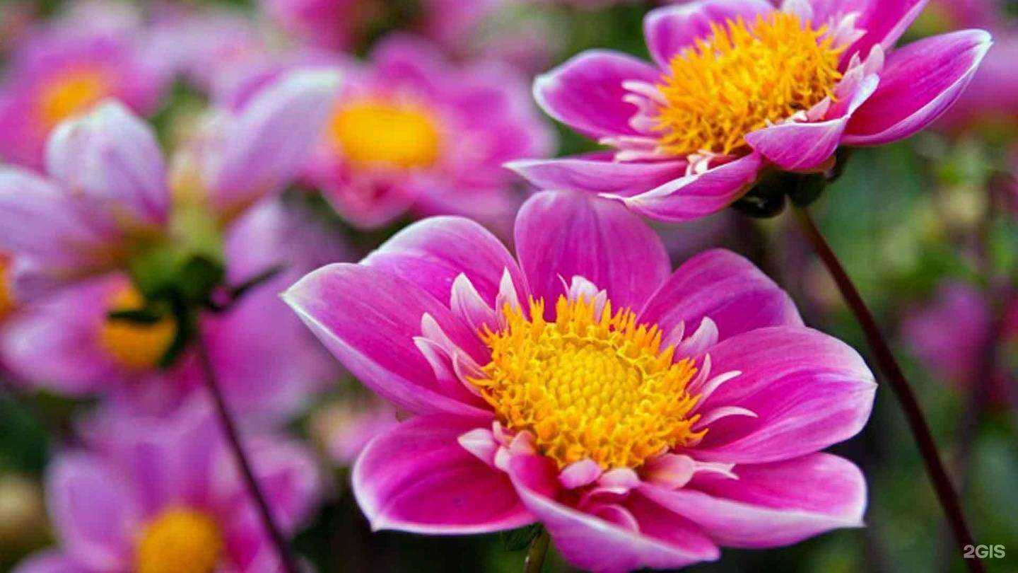 Отзывы на компанию Концепт-софт в Оренбурге c фото