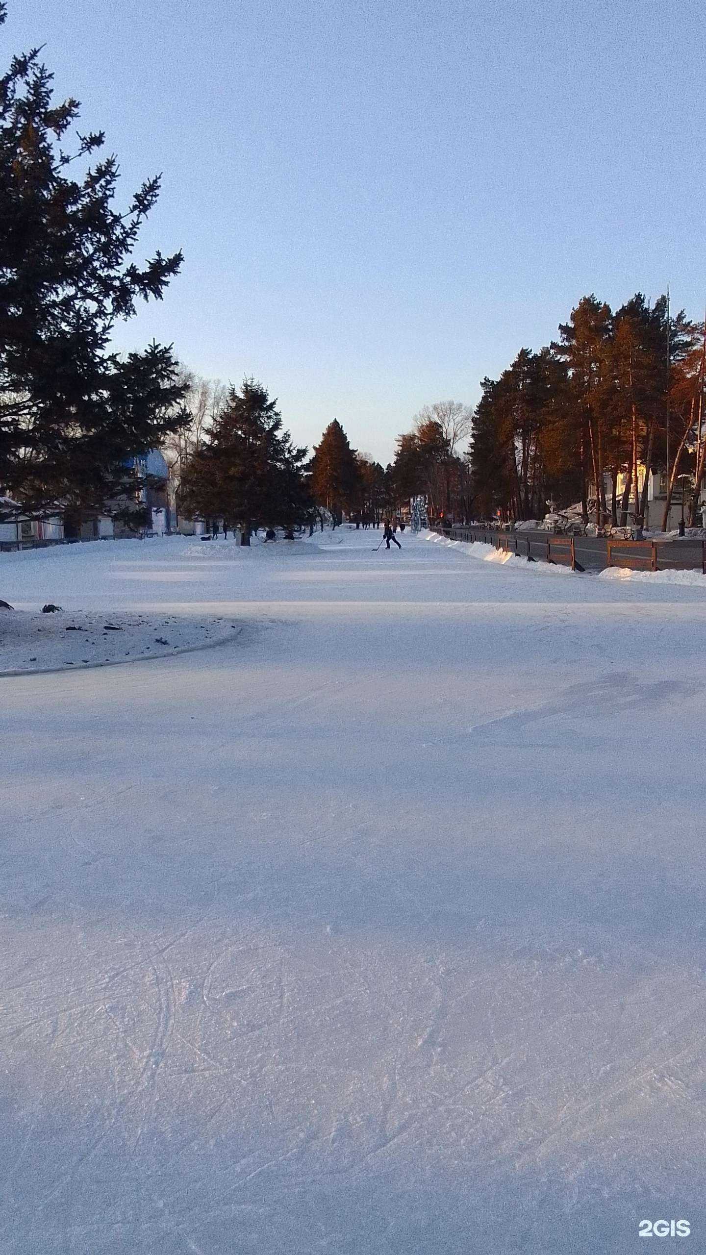 Отзывы на компанию Дирекция спортивных сооружений Хабаровского Края в г. Хабаровск c фото