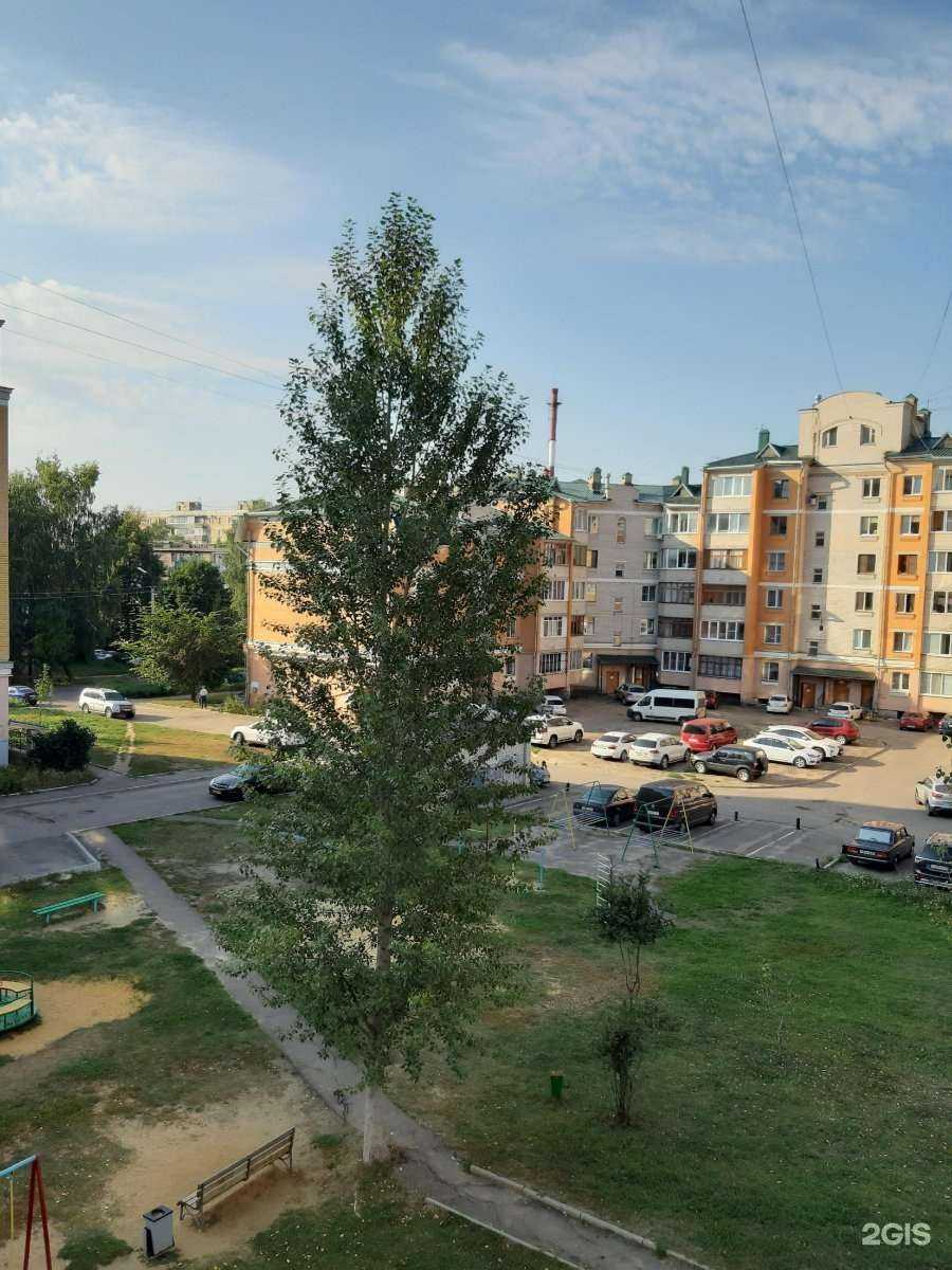 Отзывы на компанию Дента Лидер в Орле c фото - фотография 2 из 2