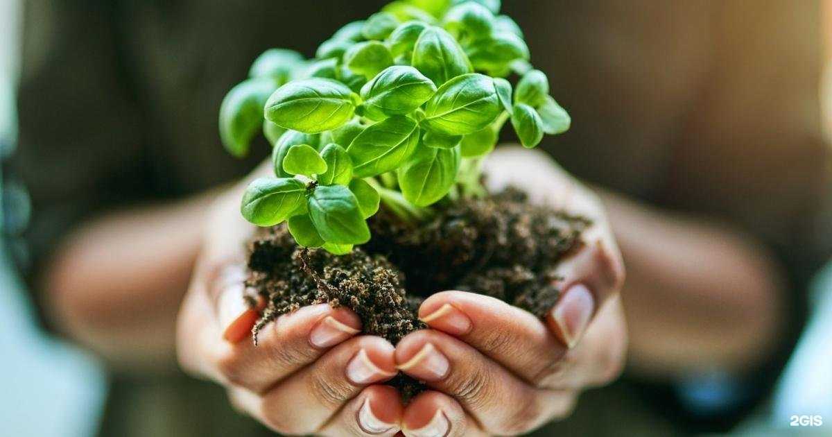 Отзывы на компанию Татарский институт переподготовки кадров агробизнеса в Казани c фото