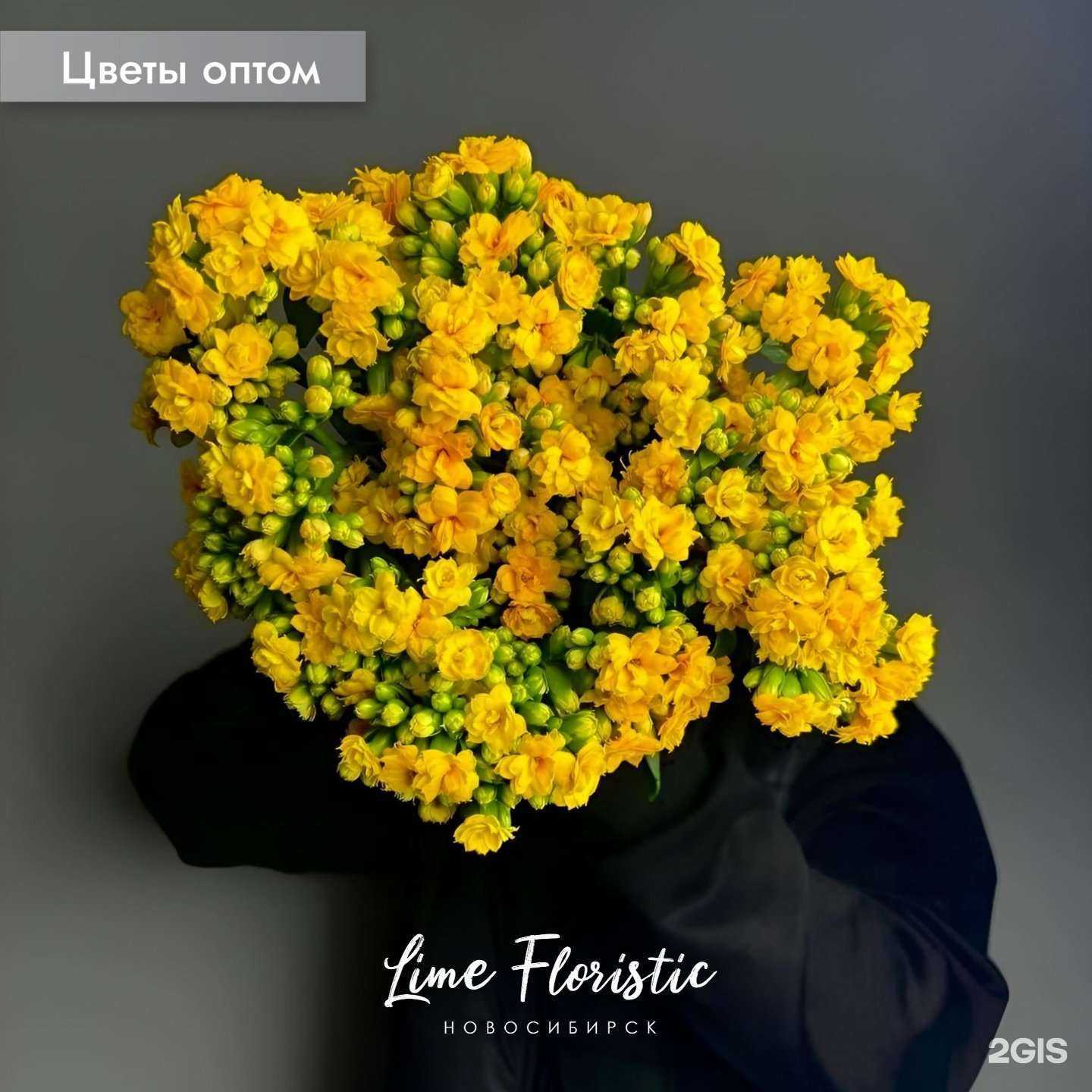 Отзывы на компанию Lime floristic в г. Новосибирск c фото