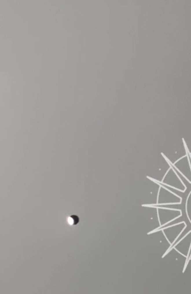 Отзывы на компанию Protelo в Петрозаводске c фото