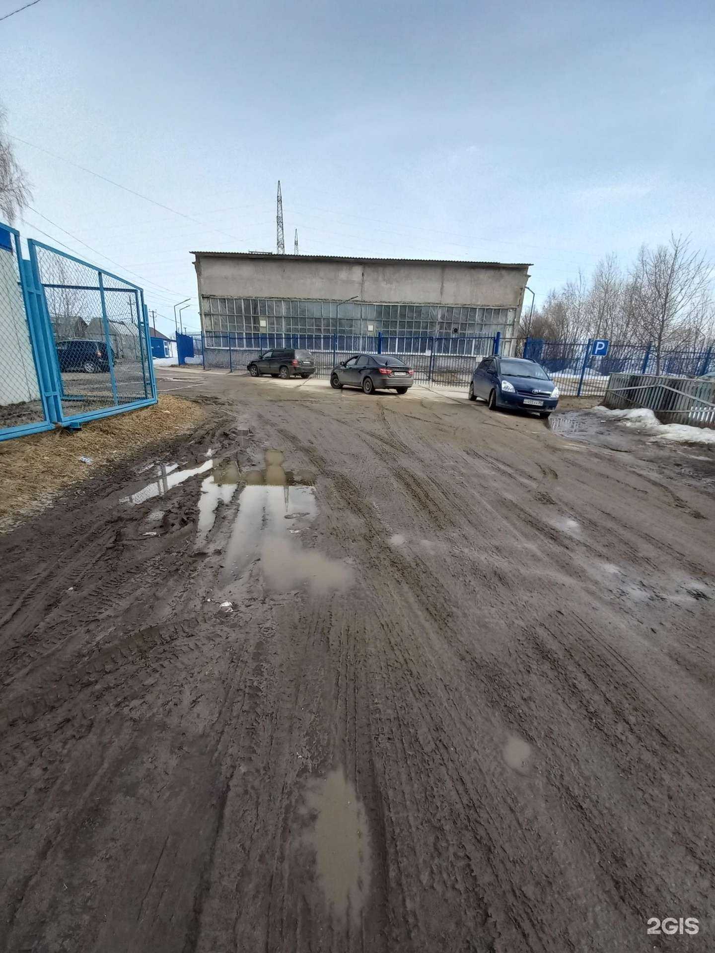 Отзывы на компанию Дельфин в г. Мегион c фото