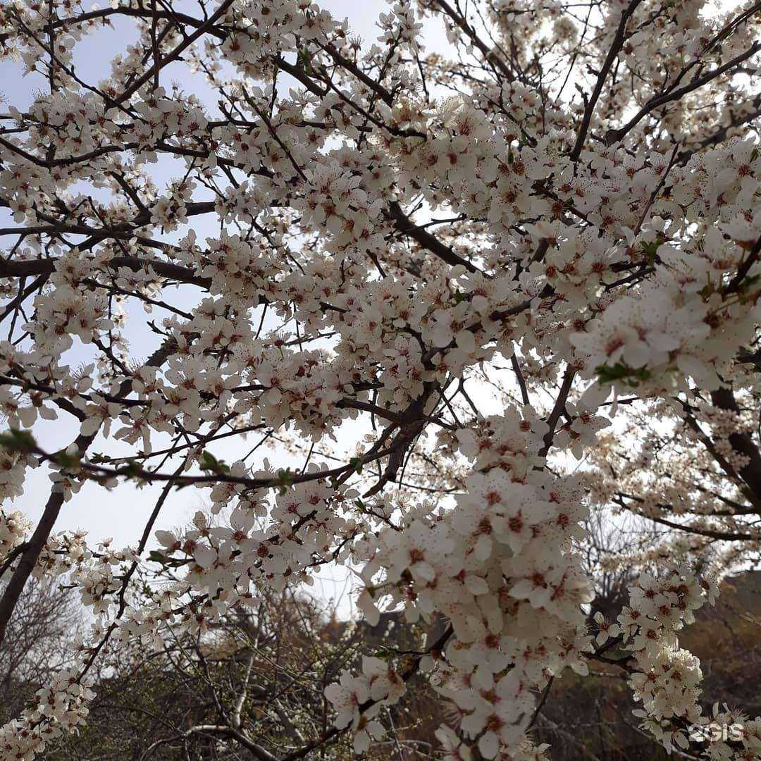 Отзывы на компанию Унисервис в Махачкале c фото