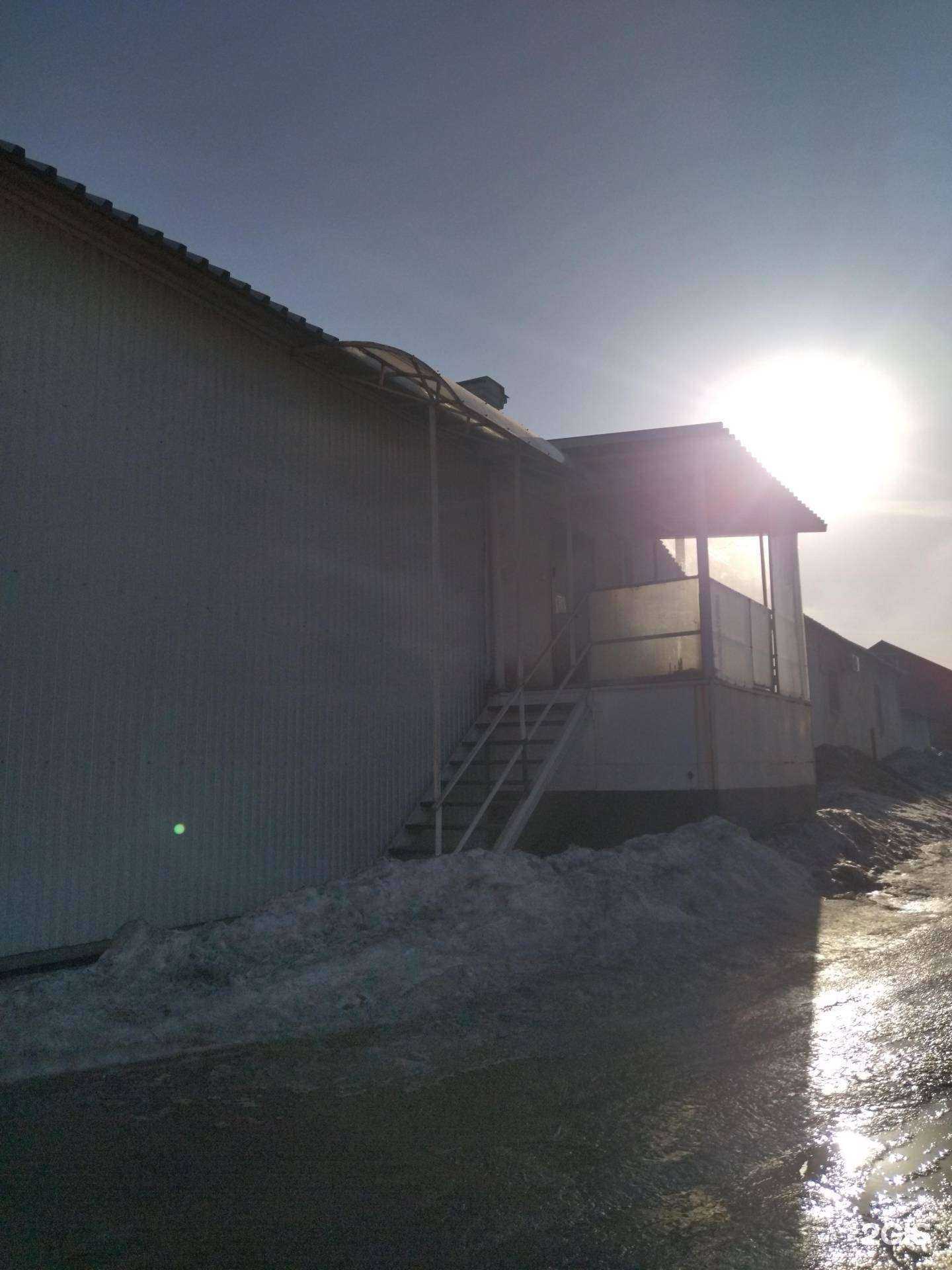 Отзывы на компанию Технологии безопасности в г. Новокузнецк c фото