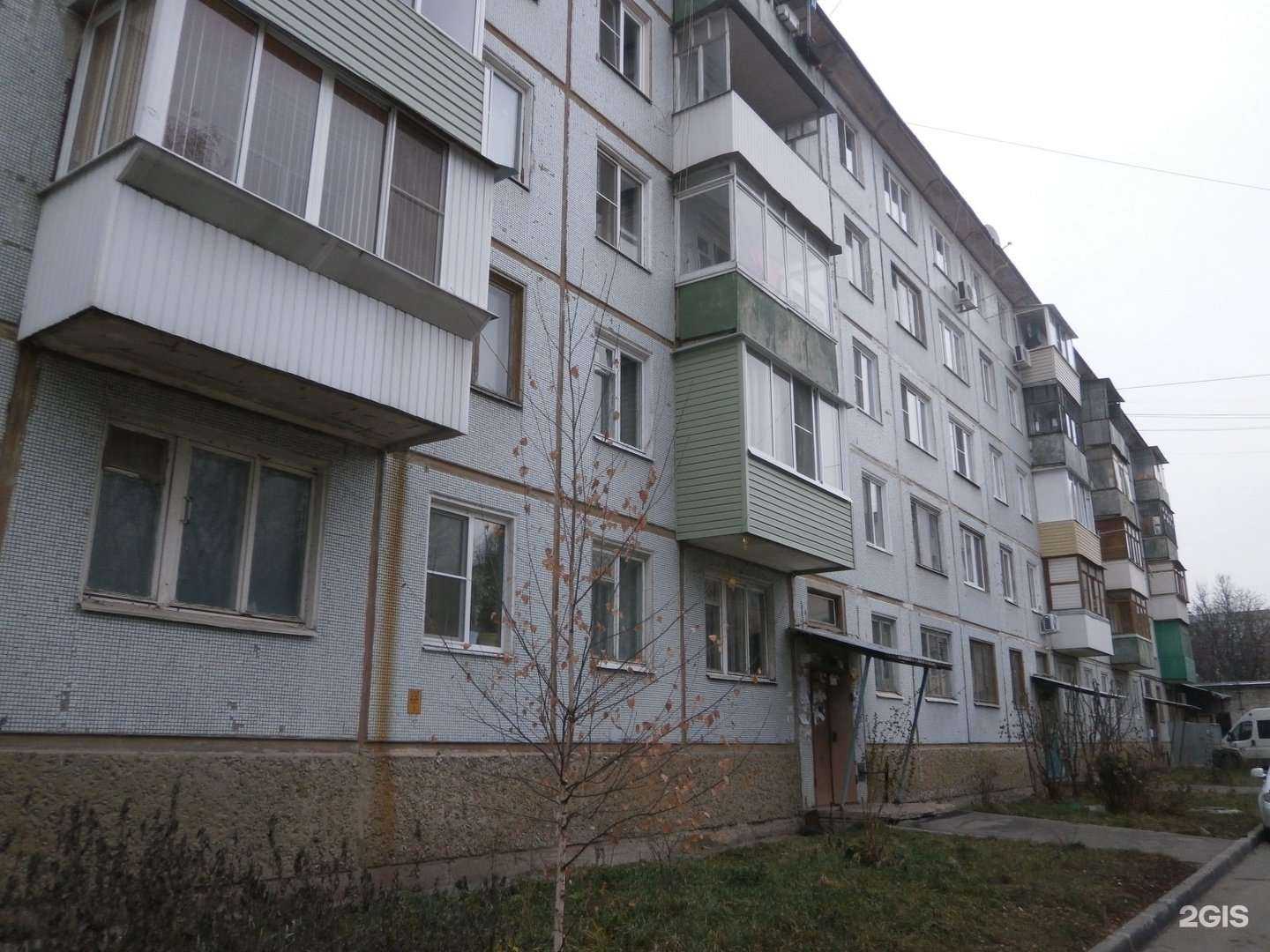 Отзывы на компанию Кенгуру в Туле c фото - фотография 2 из 2