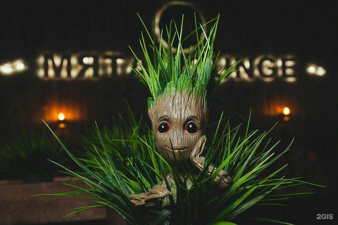 Отзывы на компанию Мята Lounge в Пензе c фото