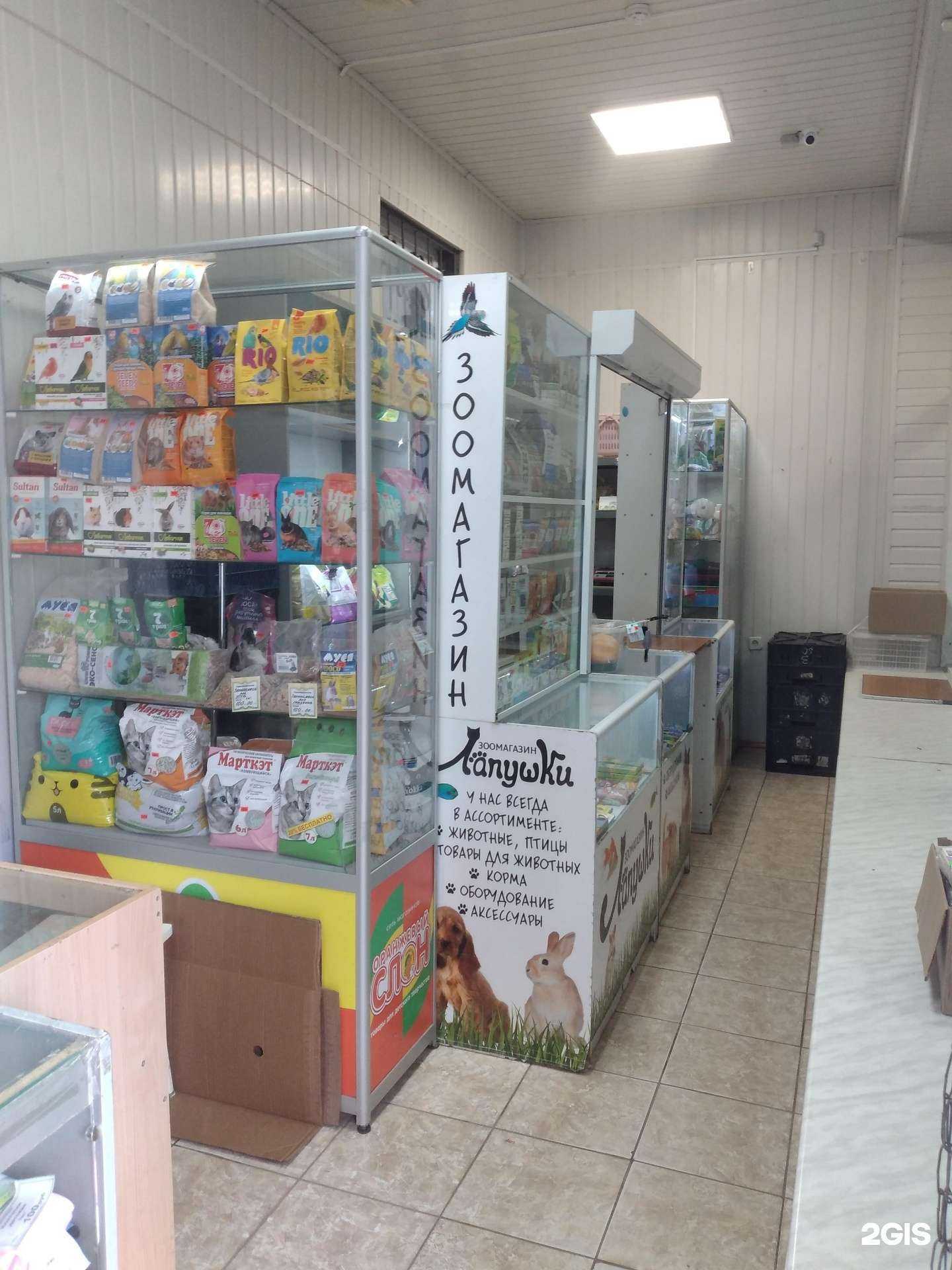 Отзывы на компанию Лапушки в Волжском c фото