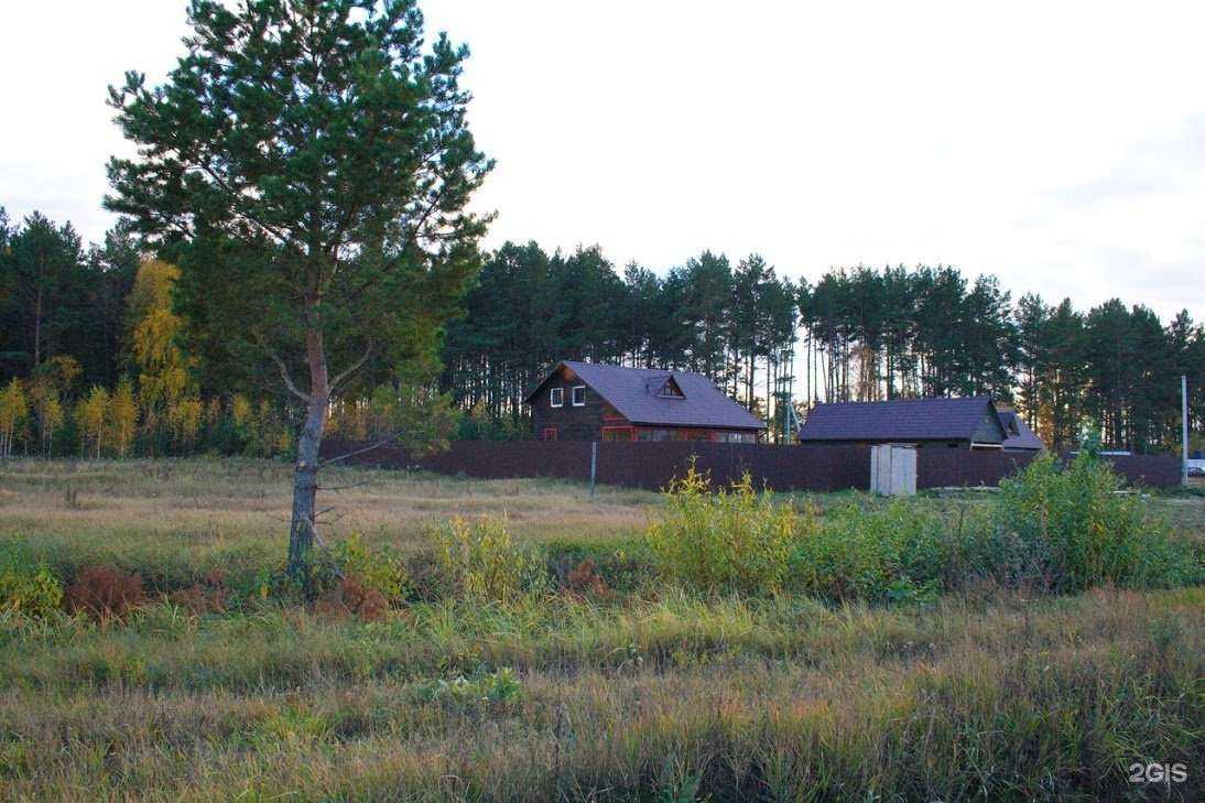 Отзывы на компанию Пятница в г. Тюмень c фото