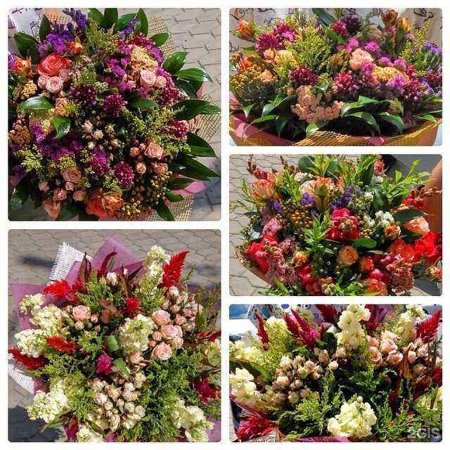 Отзывы на компанию Цветем и пахнем в г. Краснодар c фото