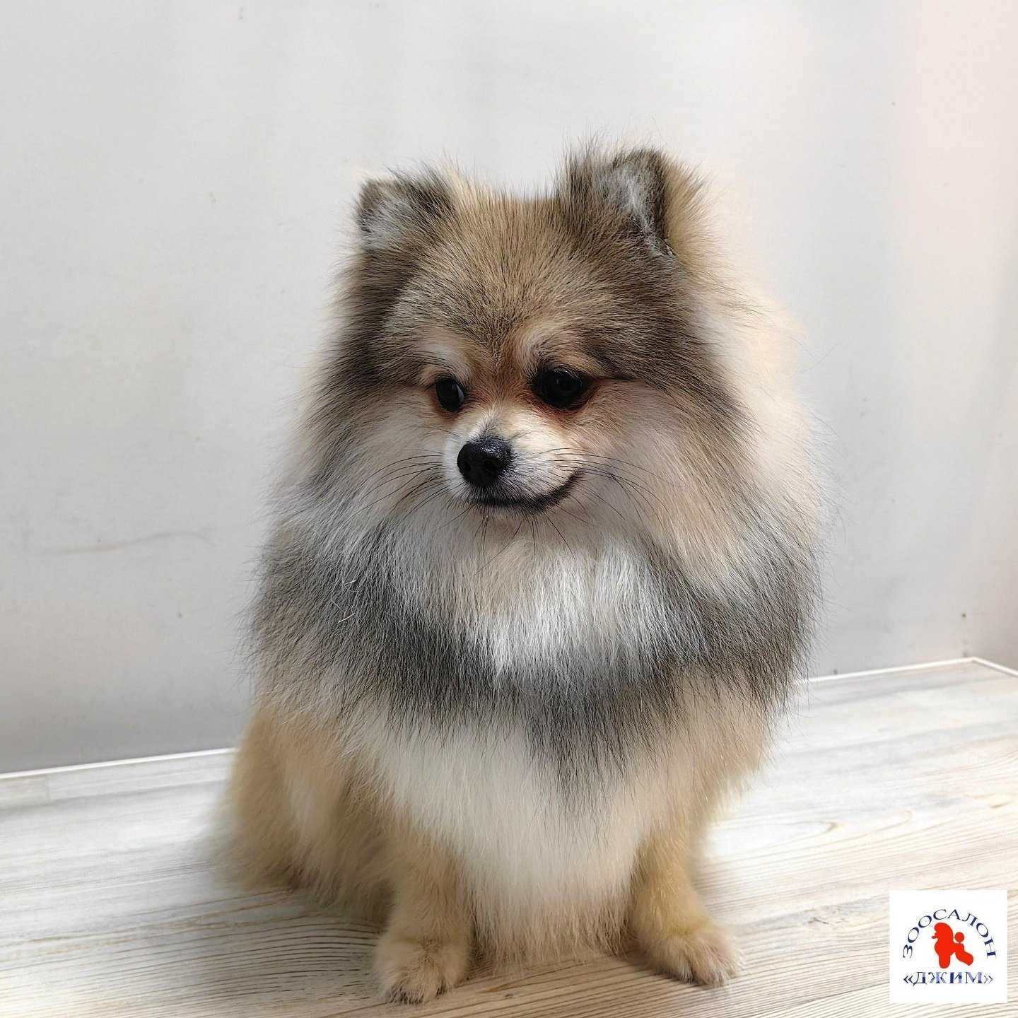 Отзывы на компанию Джим в г. Саратов c фото