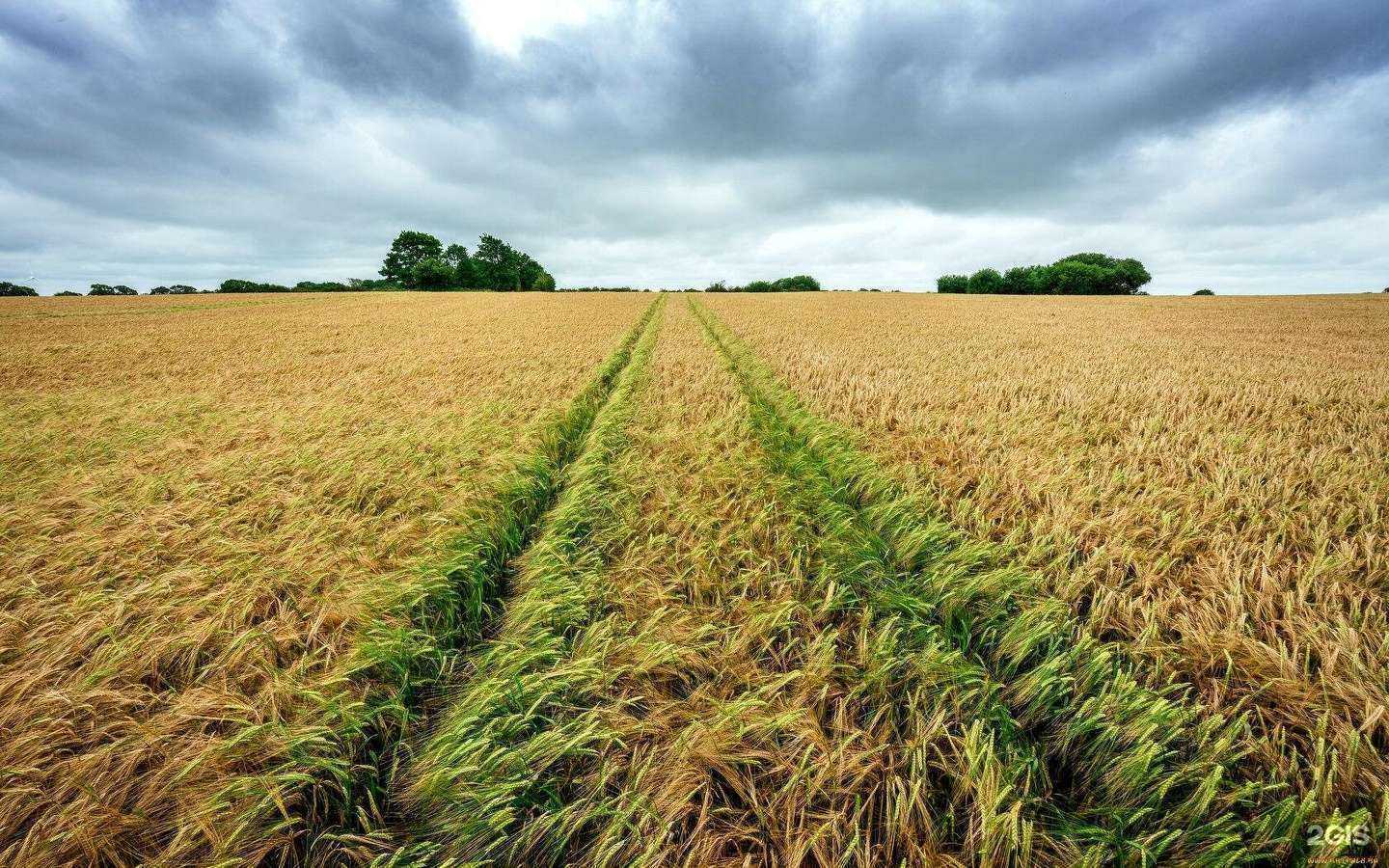 Отзывы на компанию Аграрум-Техника в Ростове-на-Дону c фото