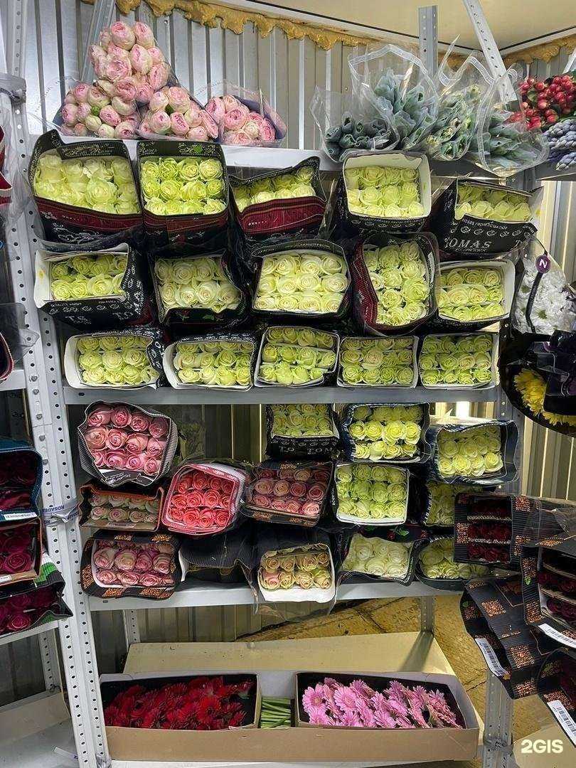 Отзывы на компанию Buton Opt в г. Уфа c фото