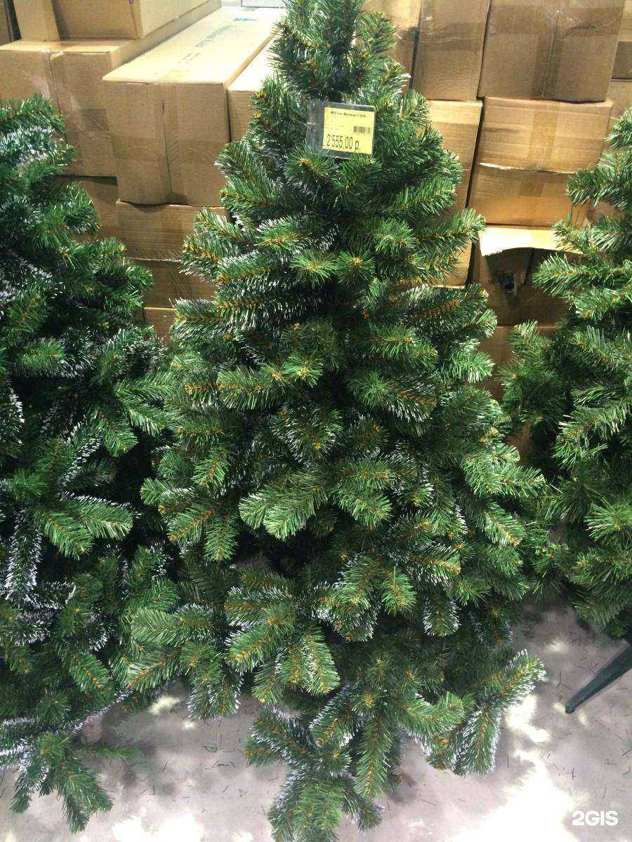 Отзывы на компанию Колорлон в г. Новосибирск c фото