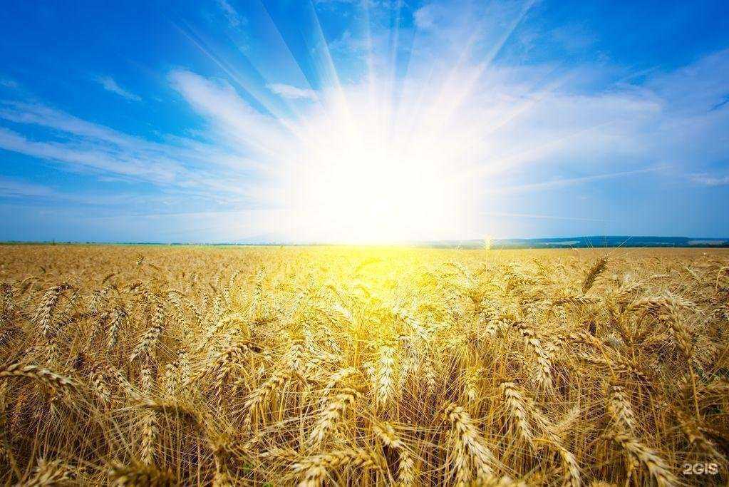 Отзывы на компанию Агролидер в Самаре c фото