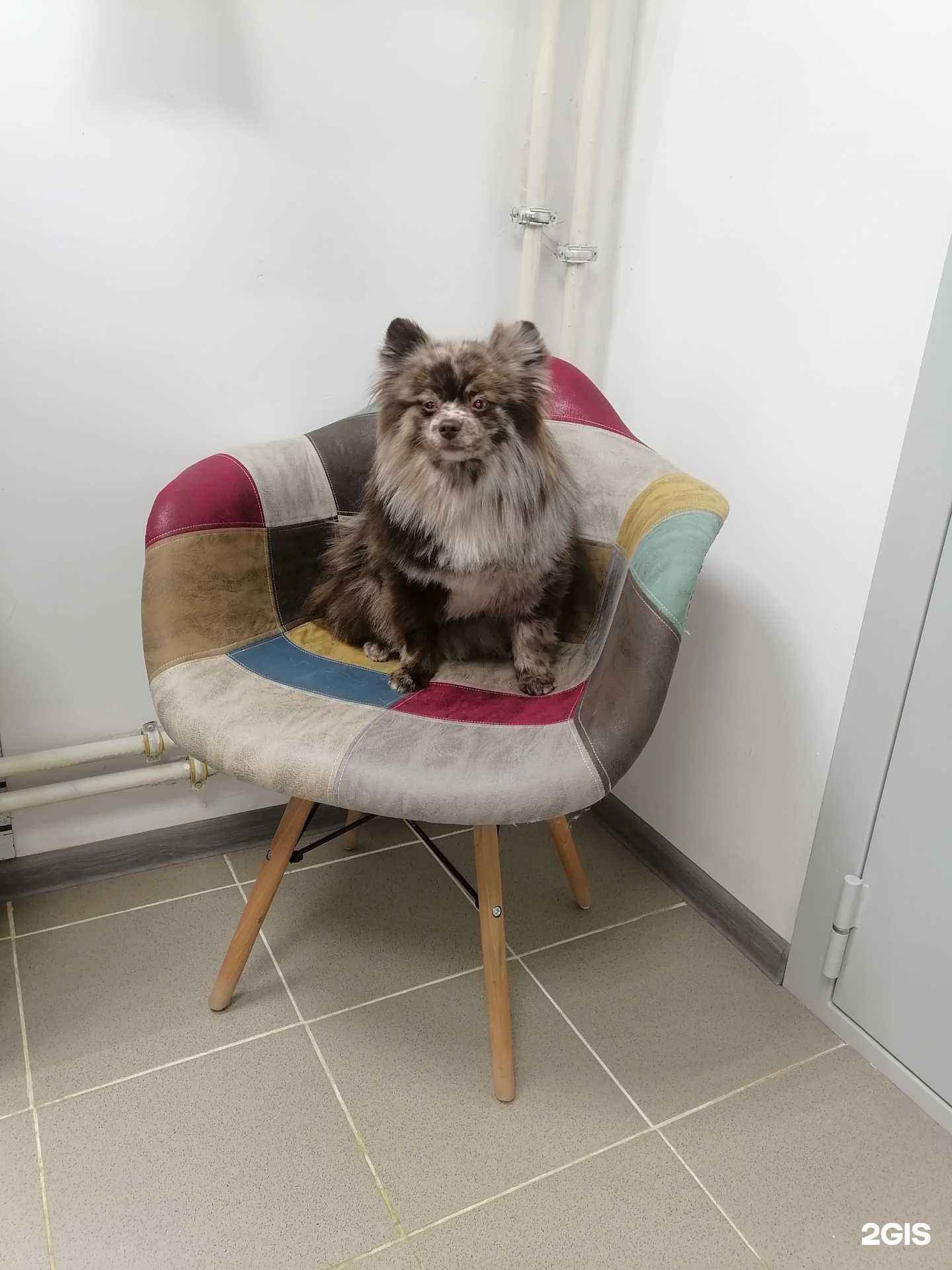 Отзывы на компанию Dream groom в Саранске c фото