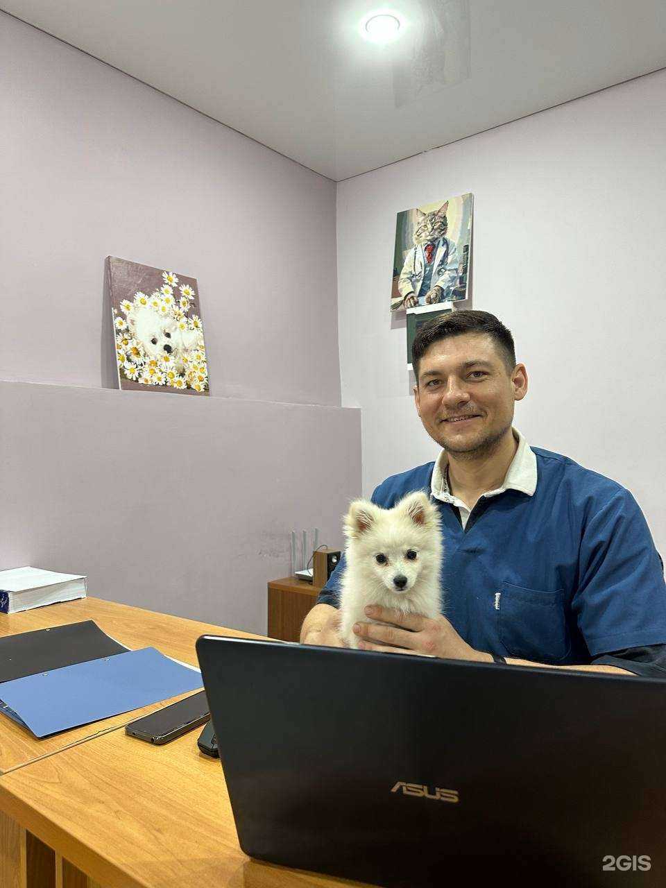 Отзывы на компанию Ветеринарный Доктор Задорожный в г. Краснодар c фото