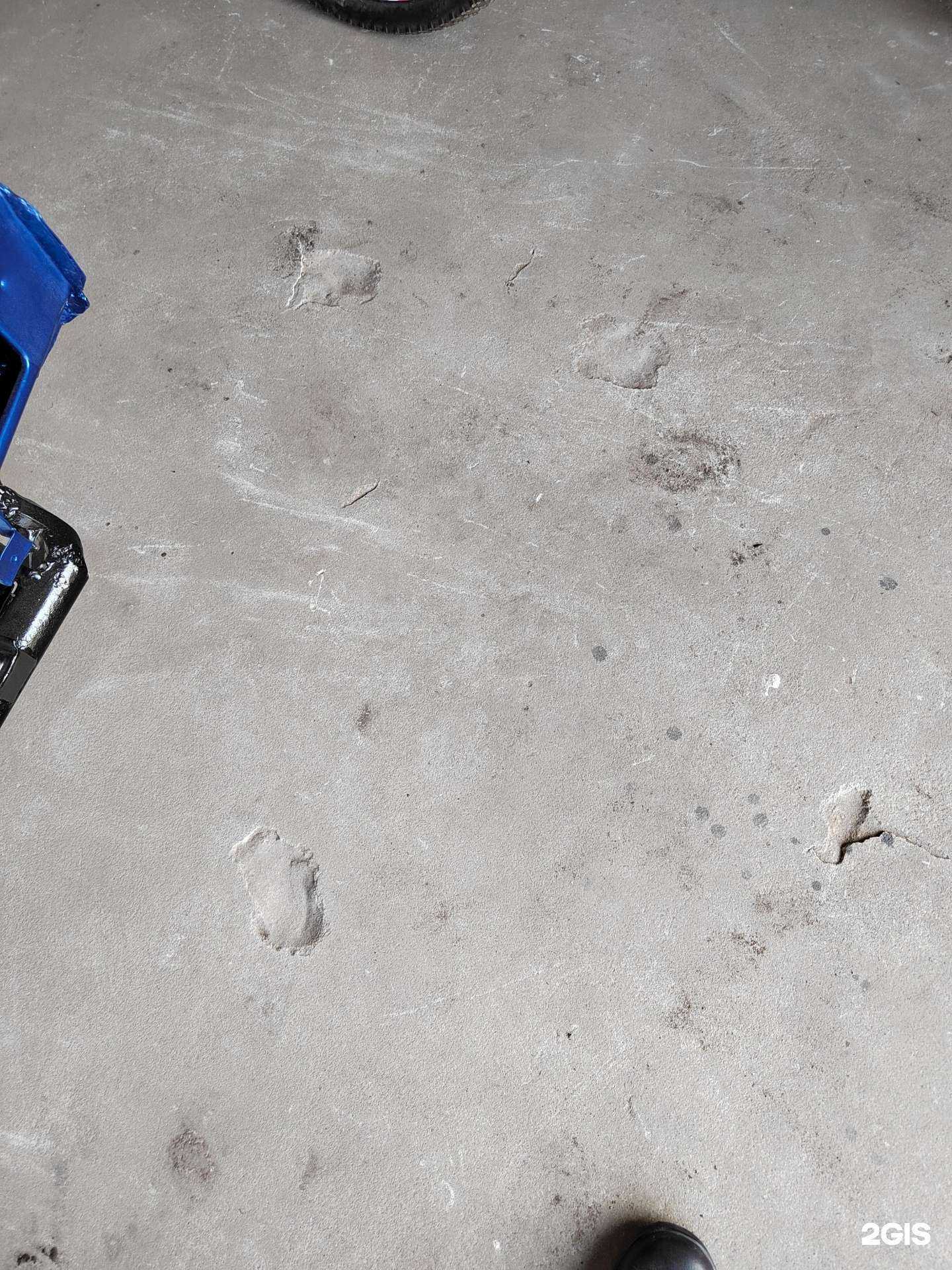 Отзывы на компанию Профпол в г. Старый Оскол c фото