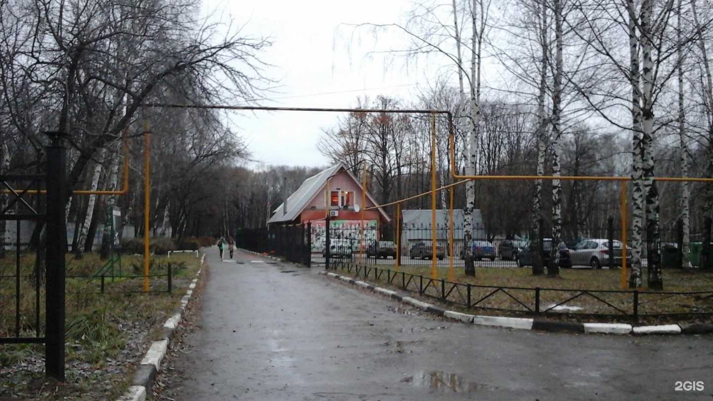 Отзывы на компанию Юниор в Рязани c фото - фотография 2 из 2