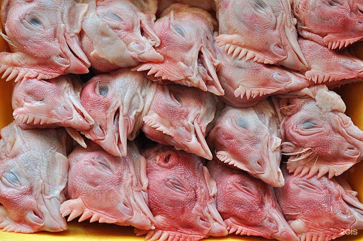 Отзывы на компанию Ф.Рост в г. Смоленск c фото